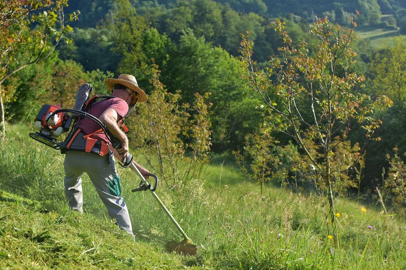 Brush Cutting