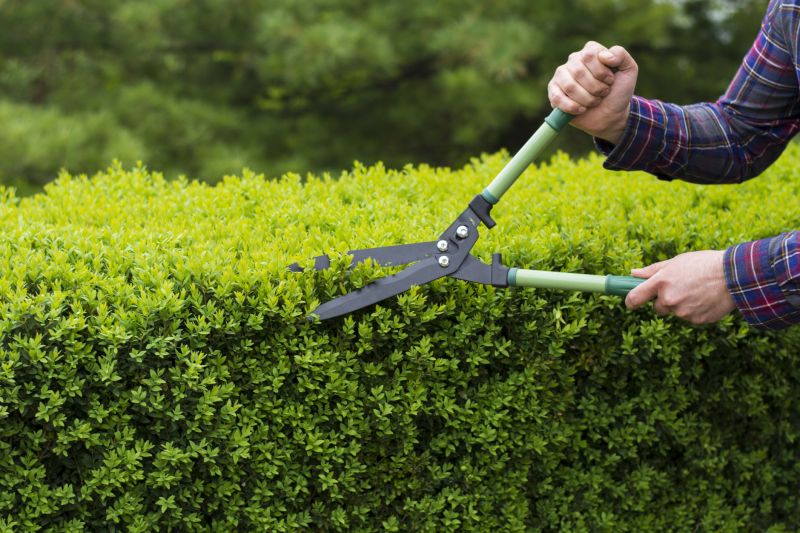 Brush Cutting