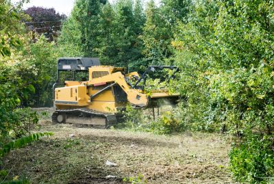 Ground Clearing in Utah County, UT