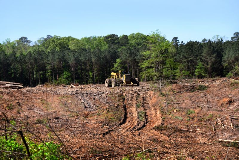 Lake Lot Clearing in Gwinnett County, GA