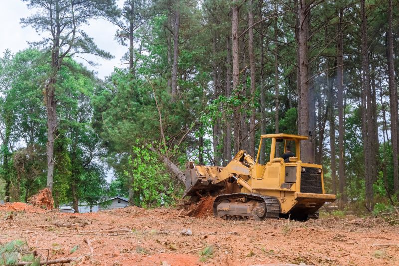 Efficient Land Clearing Process