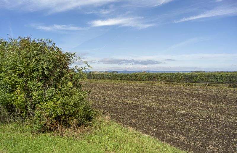 Land Clearing in Cumming, GA
