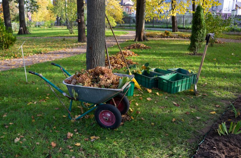 Site Cleaning in Gwinnett County, GA