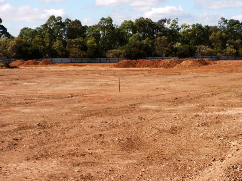 Site Preparation Service in Gwinnett County, GA