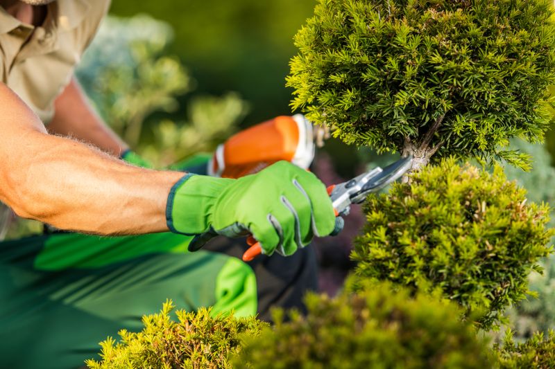 Landscaping Companies
