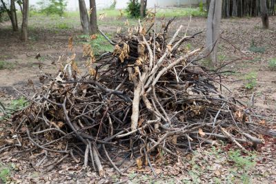 Debris Pile Removal