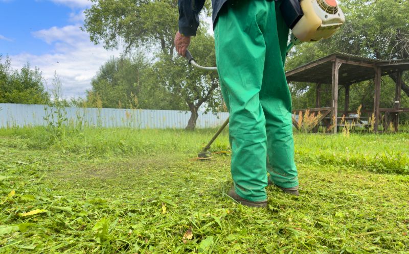Guide to Brush Cutting Techniques and Equipment