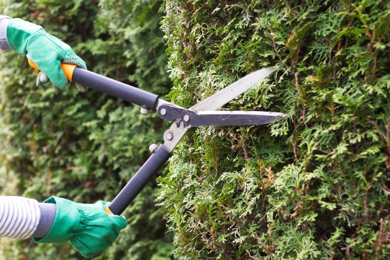 Brush Cutting Equipment and Accessories