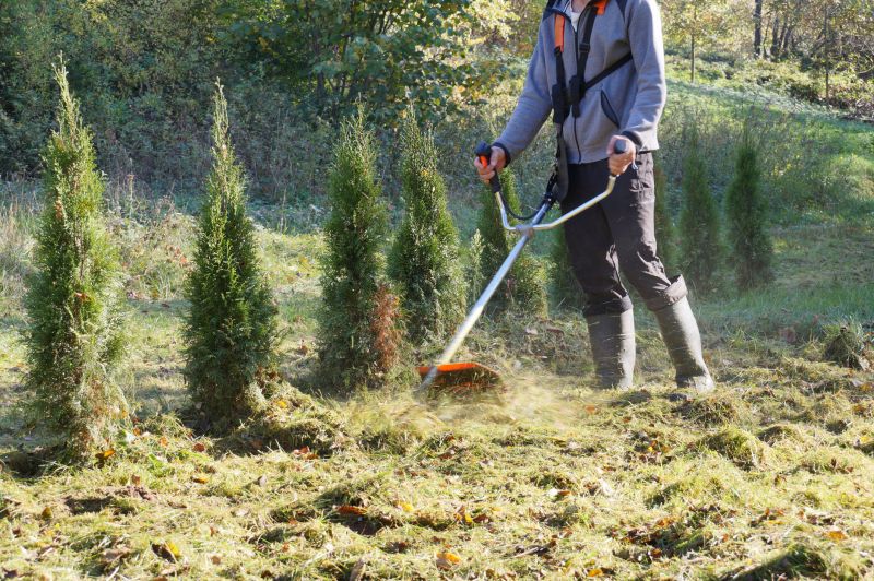 Service Locations for Brush Cutting